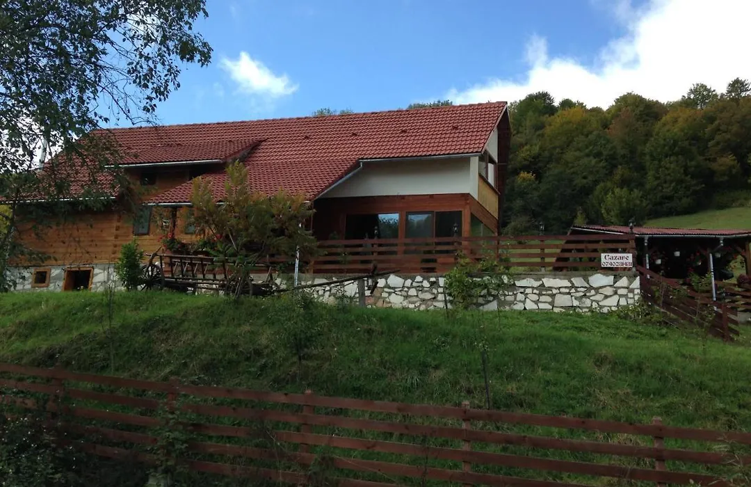 Pensiunea Casa Motilor-1